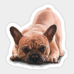 The French Bulldog Sticker